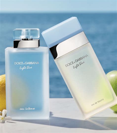 dolce and gabbana light blue cheapest price.